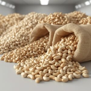 Cashew nut distributors handling bulk cashew nuts for wholesale distribution and export
