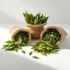 Bulk fresh curry leaves in open sacks for wholesale and export supply