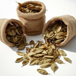 Bulk dried bay leaves in open sacks for wholesale and export supply