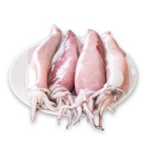 Frozen cuttlefish for wholesale supply and international export