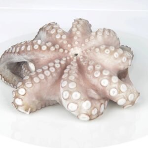 Frozen octopus for wholesale supply and international export