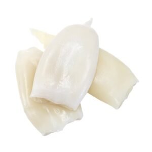 Frozen squid for wholesale supply and international export