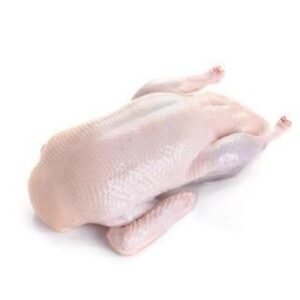 Frozen whole duck for wholesale supply and international export