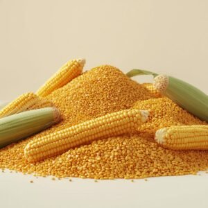 Maize for sale in bulk, yellow maize grains for wholesale and export markets