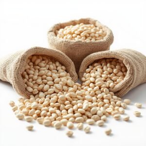 Bulk dried white beans in open sacks for wholesale and export supply